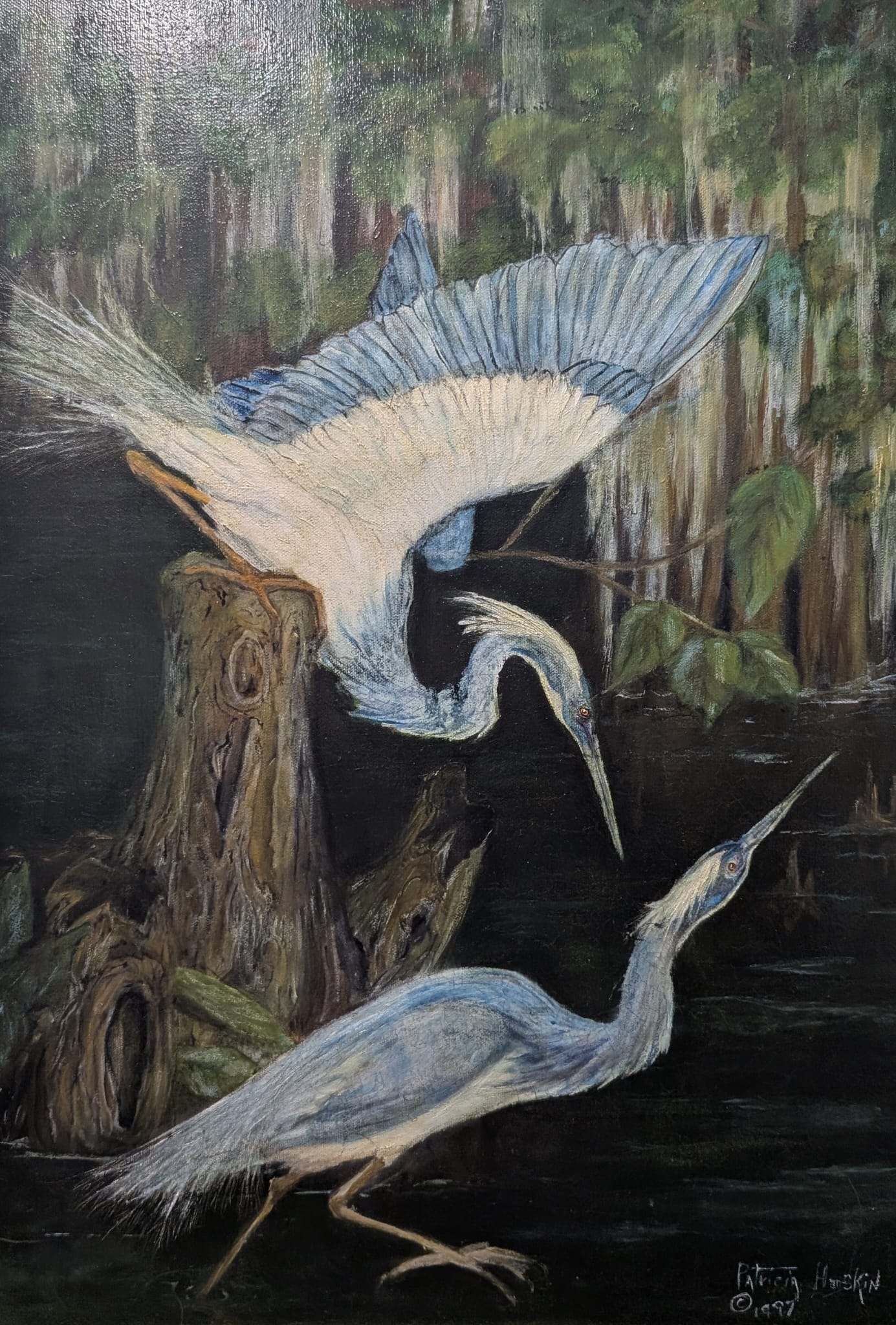 Painting of two herons among cypress trees — Marsfield Studio